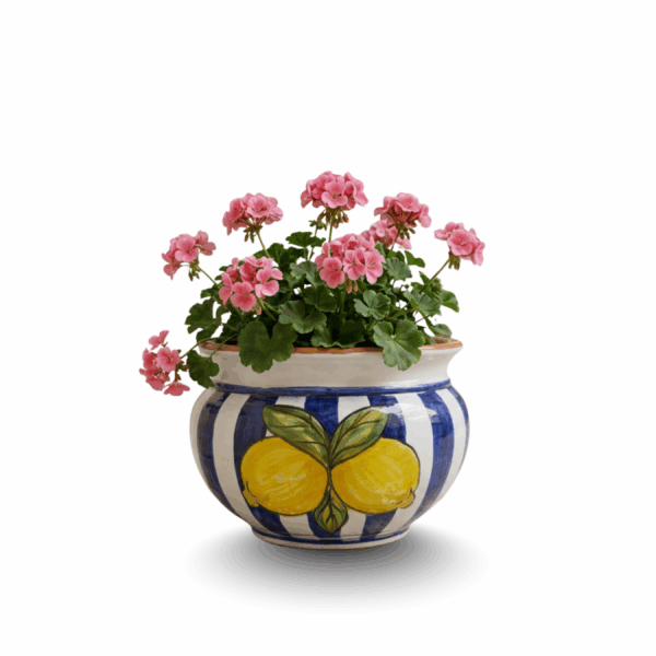 Pots